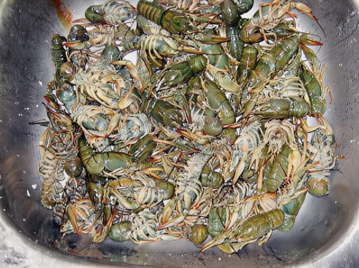 Замороженные раки в мойке (раковине) из нержавеющей стали.